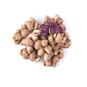 Raíz de Jengibre Negro Natural Fresco (Kaempferia Parviflora) para Bebidas Funcionales, Té de Hierbas y Pedidos Comerciales al por Mayor - Product Image 1