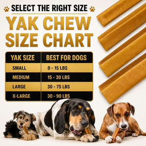 Masticables de Queso de Yak del Himalaya Premium para Perros, Golosinas Dentales Naturales y Duras, Ricas en Calcio, Hechas con Leche de Yak y Leche de Vaca, OEM ODM - Product Image 6