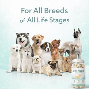 Suplementos Premium para el Cuidado de la Salud de Mascotas OEM ODM, Dientes y Huesos Más Fuertes, Sabor a Leche, Golosinas de Calcio para Perros y Gatos, Favorecen la Salud Ósea - Product Image 6