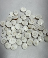 Pierre naturelle Shiva Eye Gemstone Gomti Chakra Shiva Eye Prix de gros Gemstone Sea Shell Gemstone pour la fabrication de bijoux Shell,