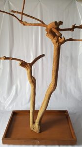 ที่นั่งนกไม้กาแฟ Vietaquaticwood รูปทรงเกลียว ทนทาน เป็นมิตรกับสิ่งแวดล้อม ตกแต่งด้วยไม้ธรรมชาติ สำหรับใช้ในบ้านและนอกบ้าน ทุกฤดูกาล - Product Image 3
