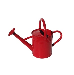 Brass Watering Can for Gardening Durable Painted Finish Indoor Outdoor Plant Care Stainless Steel Watering Can - Product Image 3