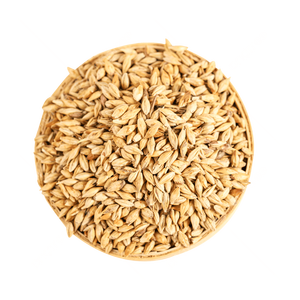 Livraison rapide de grains de blé pour les commandes à grande échelle et une distribution constante - Product Image 5