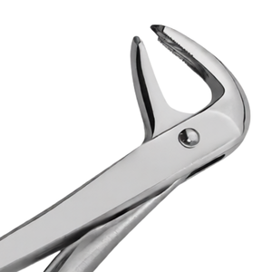 Forceps d'extraction dentaire # F4 Pointe diamantée, manche doré, acier inoxydable, poignée ergonomique manuelle, certifié CE, extraction dentaire - Product Image 4