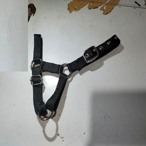 Licol en nylon robuste et pratique pour chevaux – PRODUITS ÉQUITATION DE QUALITÉ pour le travail à la ferme et l'entraînement – Respirant, confortable, design de haute qualité - Product Image 4