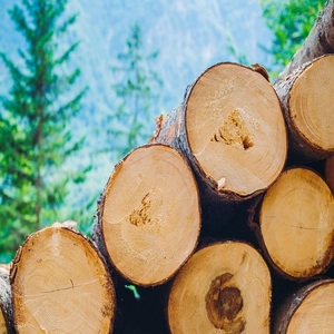 High Performance Top-quality Red American Oak <strong>Logs</strong> Delivering Intense Warmth <strong>Slow</strong> <strong>Burn</strong> Dependable Hardwood Energy Red Household - Product Image 3