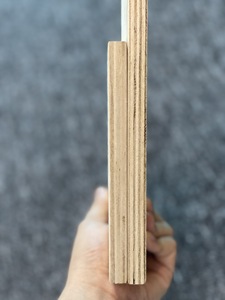 Contreplaqué de bouleau pour meubles de cabinet, noyau en bois dur, colle E0, placage de bouleau double face grade BB, taille 4x8, épaisseur 4x8, feuille de contreplaqué de bouleau - Product Image 5