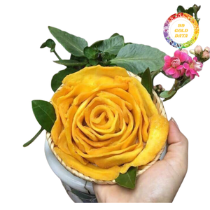 Meilleur prix pour la mangue séchée du Vietnam, livraison directe d'usine - Product Image 3