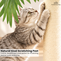 Grattoir pour chat 2-en-1 en cocotier avec piste à billes en bois à double couche