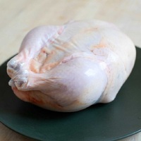 Poulet Congelé de Haute Qualité en Gros à Prix Abordable, Poulet Entier et Pièces Congelées Halal, Poulet Entier Congelé Premium Halal