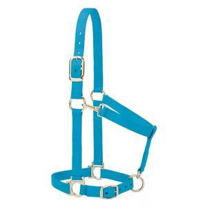 Harnais de cheval en nylon turquoise avec boucles et anneaux métalliques pour utilisation en écurie, disponible en plusieurs couleurs et personnalisable - Product Image 3
