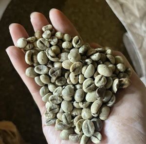 [Échantillon gratuit] Haricots verts de qualité supérieure Café Robusta/Arabica Grains de café vert du fournisseur fiable du Vietnam + 84 35 9169566 - Product Image 4