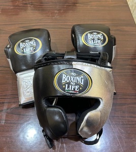 No <b>Boxing</b> No Life Premium Cowhide Leather <b>Boxing</b> Gloves Sanda Style Lace-Up Stretch Hand Grips Customizable Head Groin Guard <b>Set</b> - Product Image 2