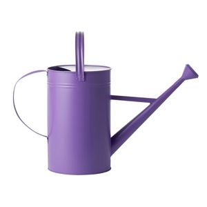 Arrosoir en métal haute capacité pour grandes surfaces de jardin, avec une construction durable et un design facile à utiliser - Product Image 1