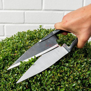 กรรไกรตัดขนแกะ ตัดกีบ ตัดสิ่งสกปรก ขนาด 13 นิ้ว เยอรมนี สแตนเลสสตีล ใช้ซ้ำได้ ใบมีดตรง ลับคมเองได้ ดีไซน์สปริง ขนาด 6.1 นิ้ว - Product Image 4