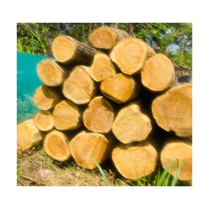 Bûches de teck africain en vrac prêtes pour l'expédition vers les fabricants et les distributeurs - Product Image 1
