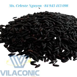 Riz noir glutineux à grains longs - Fournisseur direct du Vietnam |   Vilaconic Celeste Marque en gros - Product Image 3