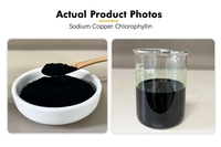 Chlorophylline de cuivre soluble dans l'eau, approvisionnement en vrac, extrait de feuille de mûrier, CAS 11006-34-1, entrepôt USA UE