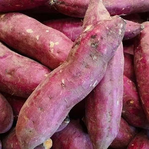 Batido de Patata Dulce Orgánica Congelada IQF de Alta Calidad, para Hornear, Puré, Sopa, Grado Premium, Preparación Fácil para Dieta, 1kg X10 - Product Image 1