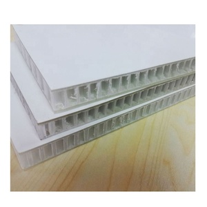 Panneau sandwich en polyuréthane alvéolaire en PRV haute résistance personnalisé pour camping-car/camion - Product Image 2