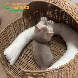 Eco2go Vietnam - Muebles para Gatos Hechos a Mano con Jacinto de Agua Natural, Portátiles, Duraderos, Ecológicos, Productos de Descanso para Mascotas para Todas las Estaciones - Product Image 6