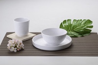 Tasse à eau en mélamine incassable personnalisée pour la restauration – Mug durable pour le thé, vaisselle écologique pour restaurants et hôtels