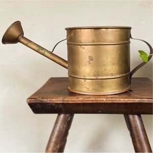 Vintage Brass Watering Can Long Spout Indoor Plant Waterer <b>Metal</b> Gardening Pot Handheld Retro Flower Watering Pot for Home Decor - Product Image 1