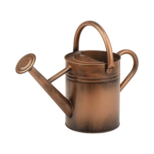 Arrosoir en métal couleur cuivre Homarden avec bec amovible et doubles poignées, en acier galvanisé durable pour intérieur et extérieur - Product Image 1