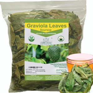 Hojas de Guanábana Secas a Granel, Materia Prima Premium para Té de Hierbas, Exportación Directa de Fábrica - Product Image 5