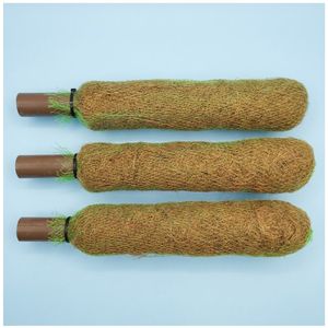 Poste de Coco Natural de 1 Pie (12 Pulgadas) para Plantas Trepadoras - Product Image 5