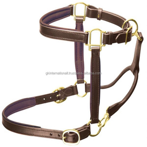 Licol pour cheval en cuir double épaisseur rembourré, fabriqué à la main en Inde, toutes tailles personnalisées et quincaillerie en métal plaqué laiton réglable - Product Image 2