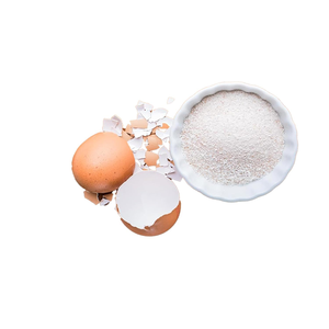 Poudre de membrane d'œuf sauvage tendance, ingrédient naturel fin de qualité supérieure, matériau de complément alimentaire de qualité alimentaire, recherche nutraceutique - Product Image 3