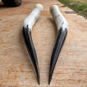 Décoration murale en corne de bison polie, design Art Déco, grande taille de 35 à 40 pouces, pour mariage, anniversaire - Product Image 1