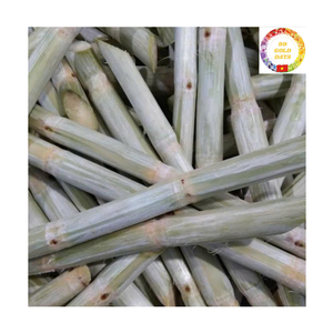 Palitos de Caña de Azúcar Congelados IQF |   Caña de Azúcar 100% Natural Fresca para Jugos, Uso en Bares y Playas, Proveedor de Exportación a Granel - Product Image 1