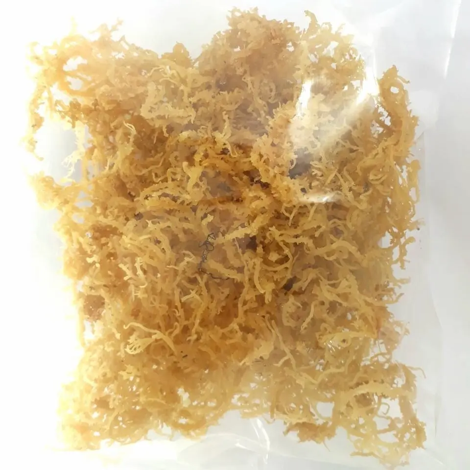 Gracilaria kering/gracilaria rumput laut dari Vietnam (Ms. Ann + 84 902627804)