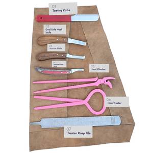 Kit de herramientas de herrador con mango de madera: juego de cuchillos para pezuñas, cuchillo para abscesos, cuchillo para separar los dedos de la pezuña, cuchilla estrecha, cuchilla de doble cara, lima raspadora para pezuñas y probador - Product Image 3