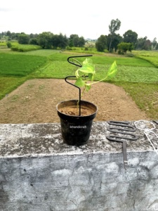 โครงเหล็กสำหรับสวนบ้านทรงกลม ราคาประหยัด เป็นมิตรกับสิ่งแวดล้อม ทันสมัย ป้องกันหนูได้รับการรับรอง พร้อมเคลือบผง 3 มิติ - Product Image 3