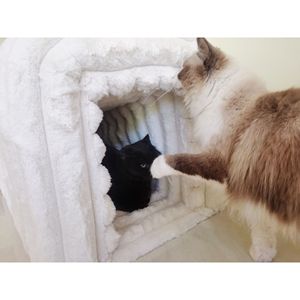 Panca contenitore/ottomana in MDF per ingresso, soggiorno o camera da letto, con riparo per gatti, in velluto a coste - Product Image 4