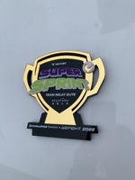 Trophée personnalisé en acrylique, médaille de récompense en cristal, gravure de logo personnalisée pour compétition sportive, cadeau d'entreprise