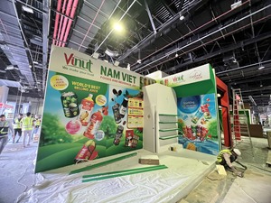 ถ้วยว่านหางจระเข้แบบก้อนขนาด10กก. จากเวียดนามผู้ผลิตว่านหางจระเข้พร้อมเสิร์ฟว่านหางจระเข้ในน้ำเชื่อม - Product Image 5