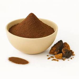 Polvo de Hongo Chaga Silvestre Orgánico, Molido Finamente, Superalimento Herbal Rico en Antioxidantes para el Apoyo Inmunológico, Desintoxicación y Salud Diaria - Product Image 2