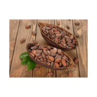 Fèves de cacao naturelles préparées pour la fabrication alimentaire à grande échelle