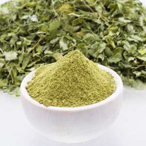 Poudre de séné 100 % naturelle de haute qualité, fabricant de poudre de séné à base de plantes pour la santé digestive et les produits à base de plantes - Product Image 4