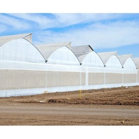 Agriculture Tomate Tunnel à travées multiples Serre Agricole Maison Verte Cadre Métallique Horticulture Serre Tropicale Prix