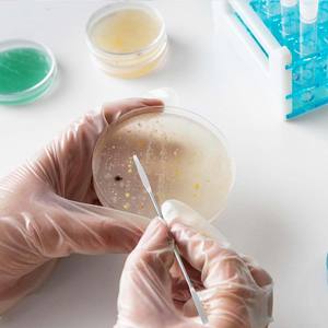 Espátula Química de Doble Extremo para Laboratorio - Product Image 5