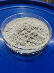 Poudre d'enzyme de papaïne préservée pour l'exportation indienne – Dégustation des protéines, attendrisseur de viande, hydrolyse des protéines, volaille en vrac, aquaculture - Product Image 5
