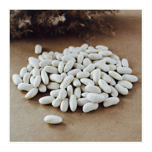 Proveedor mayorista de frijoles blancos de la mejor calidad a la venta a precio económico - Product Image 6