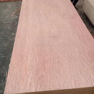 Contreplaqué Bintangor commercial, épaisseur 12-18 mm, émission E2, utilisation intérieure, design de meubles - Product Image 1