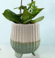 Pot de fleurs en céramique moderne, décoratif pour l'intérieur et l'extérieur, jardinière minimaliste, conteneur de jardin
