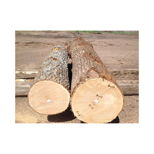 Troncos de madera de roble ofrecidos a precio de descuento para la producción de pisos, muebles y chapa de madera. - Product Image 6